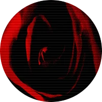 Wars of the Roses, 1455